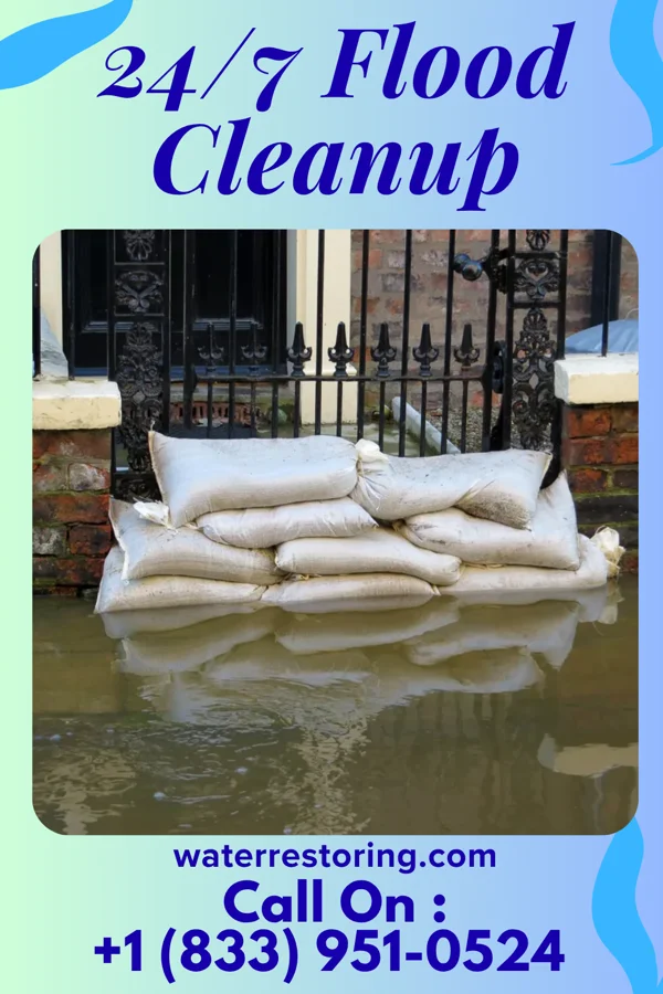 24/7 Flood Cleanup in Nekoma, IL