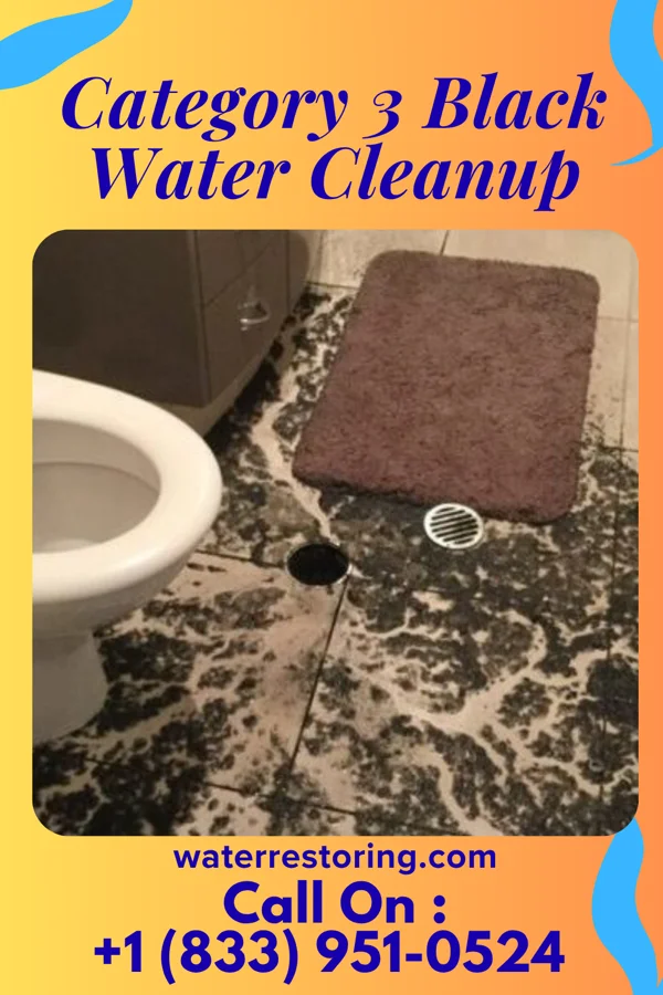 Category 3 Black Water Cleanup in Nekoma, IL