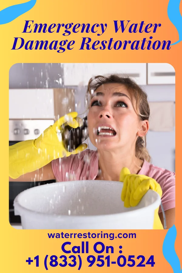 Emergency Water Damage Restoration in Nekoma, IL