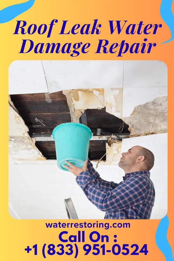 Roof Leak Water Damage Repair in Nekoma, IL