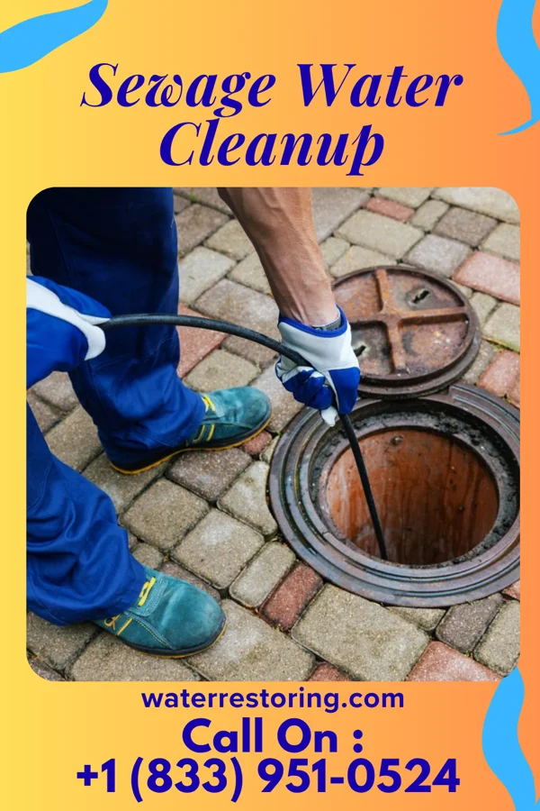 Sewage Water Cleanup in Nekoma, IL